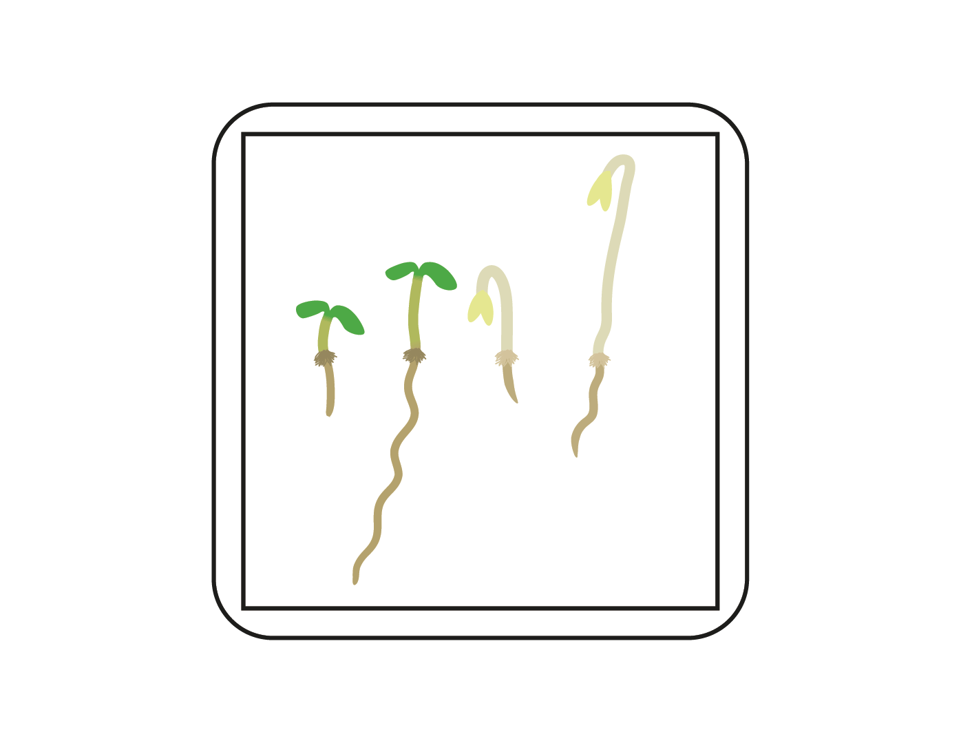 Seedling Brushes For Adobe Illustrator Kate Baldwin Llc