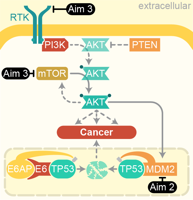 Grant application figure example from From Randall Kimple‘s Lab