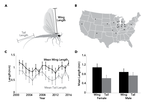 Mock paneled Figure showing various types of info